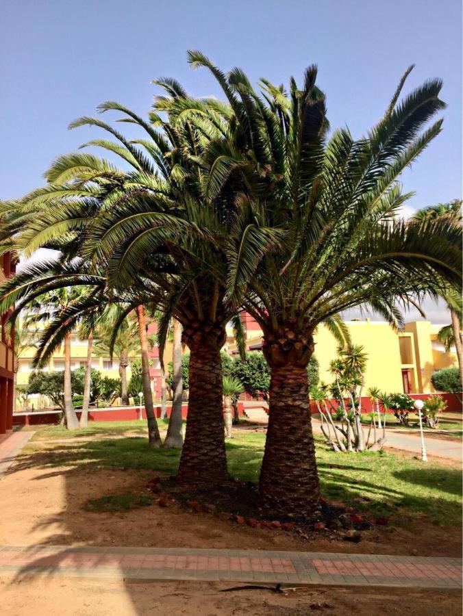 Parque HolandesPax Et Bonumアパートメント エクステリア 写真